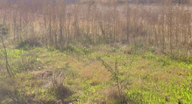 Commercial Property for Sale in Stilfontein Ext 4 North West